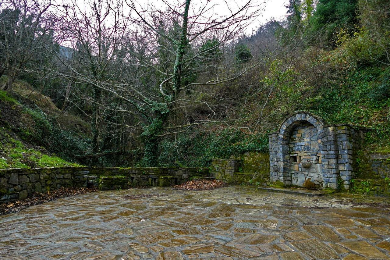 Antoniou Guesthouse Kastanitsa Buitenkant foto